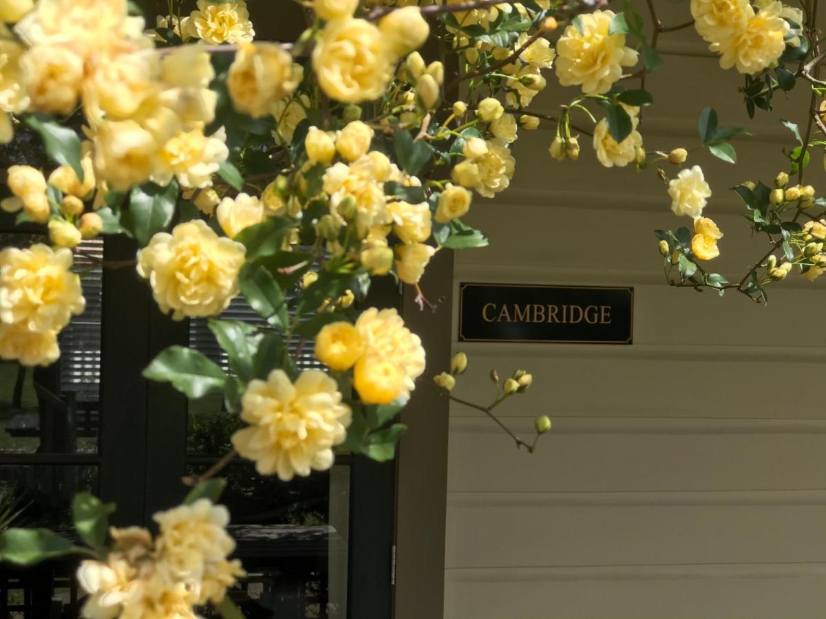 Pinot Villas Martinborough Exterior foto