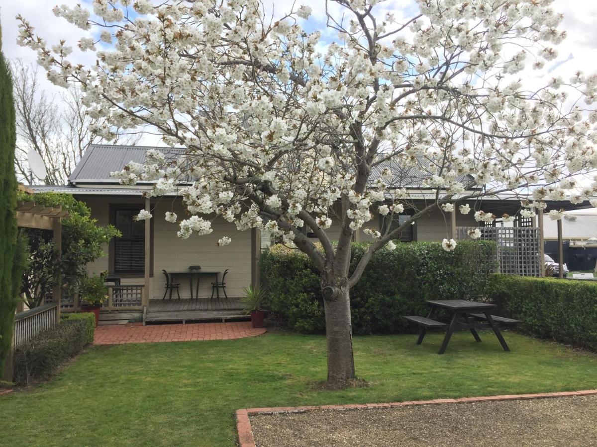 Pinot Villas Martinborough Exterior foto